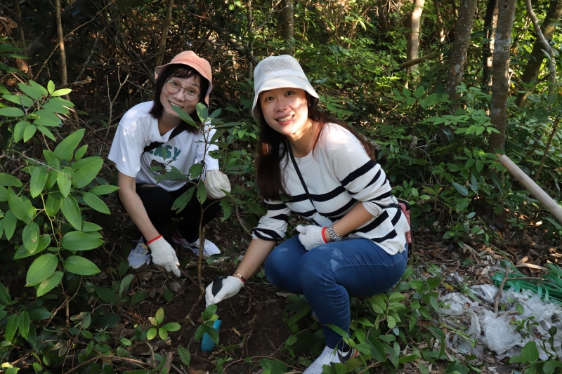 By transplanting these native saplings, including endangered species listed in the IUCN red list, the participants contributed to preserving Hong Kong's unique biodiversity.
