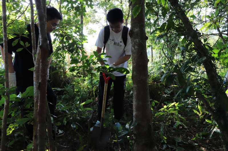 By transplanting these native saplings, including endangered species listed in the IUCN red list, the participants contributed to preserving Hong Kong's unique biodiversity.
