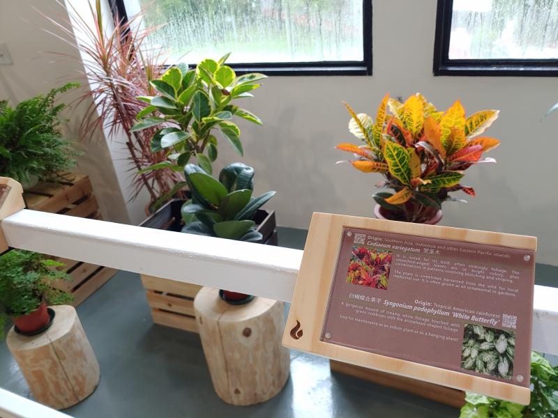 The new Green Corner will provide information on the selected plants with information tags displaying the plant origins, unique features and fun facts.